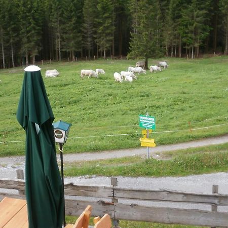 Gasthof Untere Valentinalm Hotel Plöcken Екстериор снимка