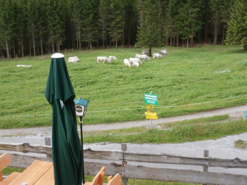 Gasthof Untere Valentinalm Hotel Plöcken Екстериор снимка